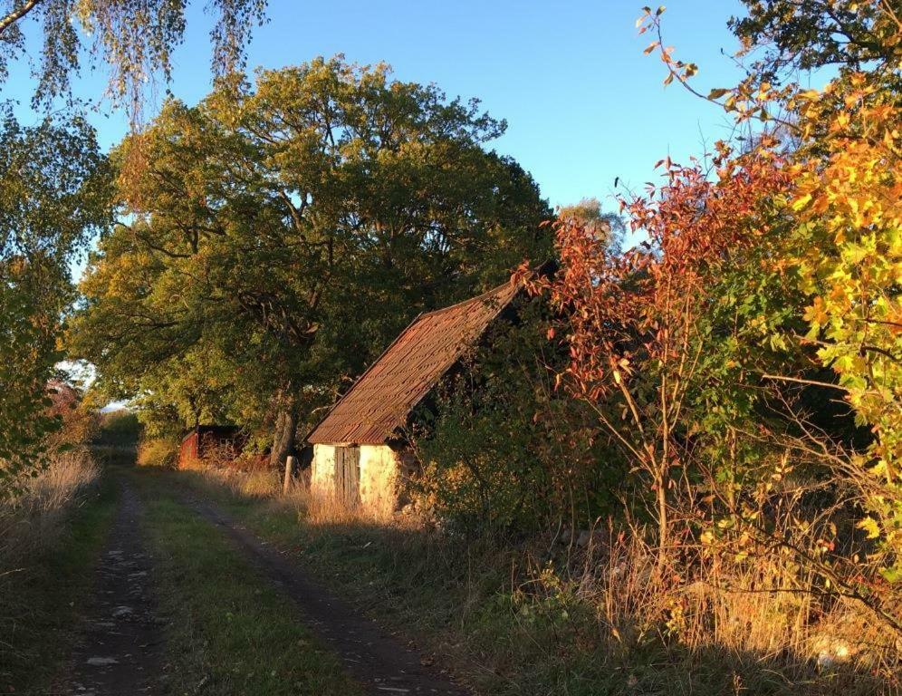 Rosenborgs Friluftspensionat Фер'єстаден Екстер'єр фото